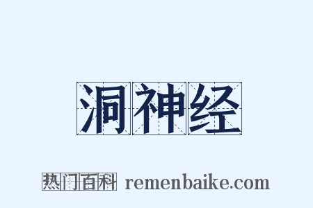 洞神经是什么意思的图片